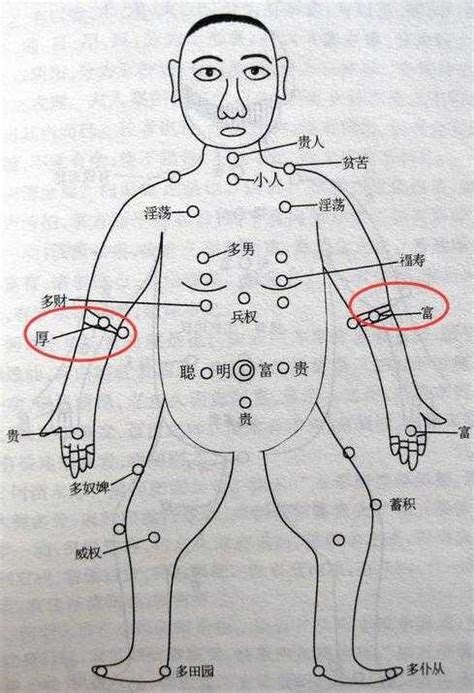 前手臂有痣|痣的位置透露出這些訊息！上手臂有痣不乏追求者、手。